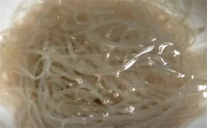 包子像我這樣做才省時省力,不用發麵不用等,個個鬆軟潔白不塌陷