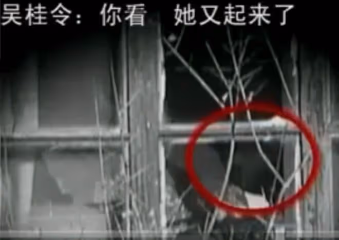 08年,河北女孩「癱瘓」臥床20年,姐姐安上監控後,戳穿多年騙局