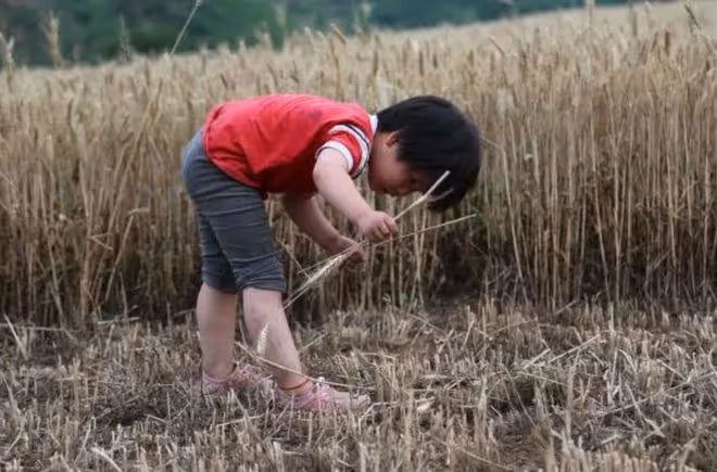 1995年罪犯攜子逃入秦嶺,野外生存15年,因進礦打工沒身份證落網