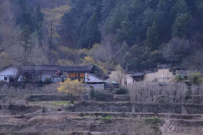 1995年罪犯攜子逃入秦嶺,野外生存15年,因進礦打工沒身份證落網