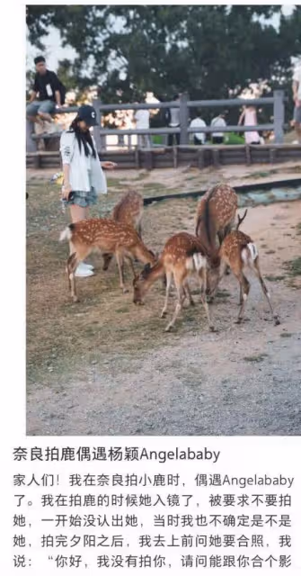 baby攜小海綿日本逛寺廟,大熱天穿外套,黃曉明媽媽疑似同行