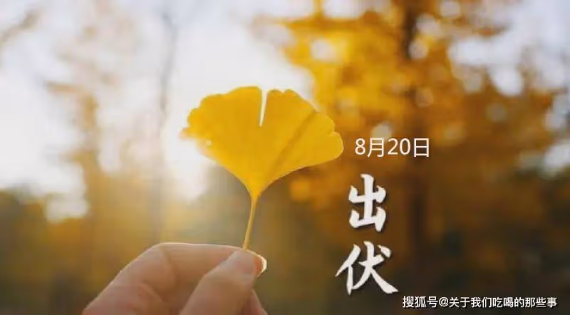 入伏吃餃子,出伏吃什麼?8月20日出伏,老傳統要吃3樣,建議了解