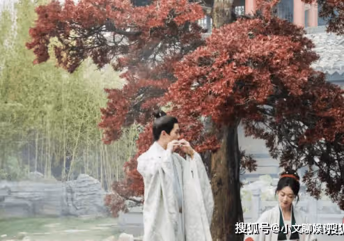 《墨雨雲間》原著小說是什麼?《墨雨雲間》小說結局是什麼?