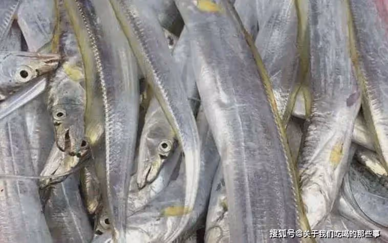 市場上這4種魚,無法人工養殖,價格不貴肉嫩味鮮,遇到別手軟