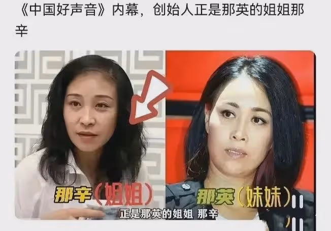 因為「好聲音」,那英衝上熱搜,評論區又淪陷了!