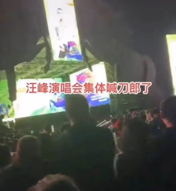 輿論升級,那英再出事!參加音樂節被抵制,這次她很難被大眾諒解