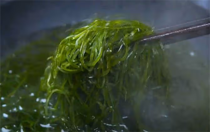 為什麼飯店的熗拌海帶絲又香又脆?原來竅門這麼簡單,看一遍學會