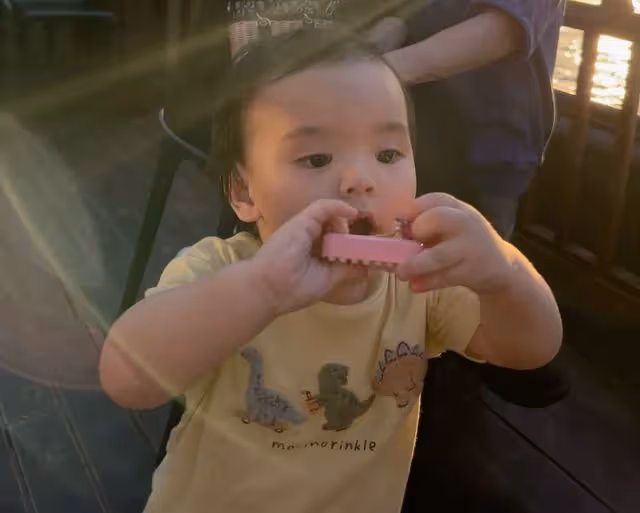 向佐曬與郭碧婷游西湖,首曝兒子高清正面照,弟弟似混血超像外公