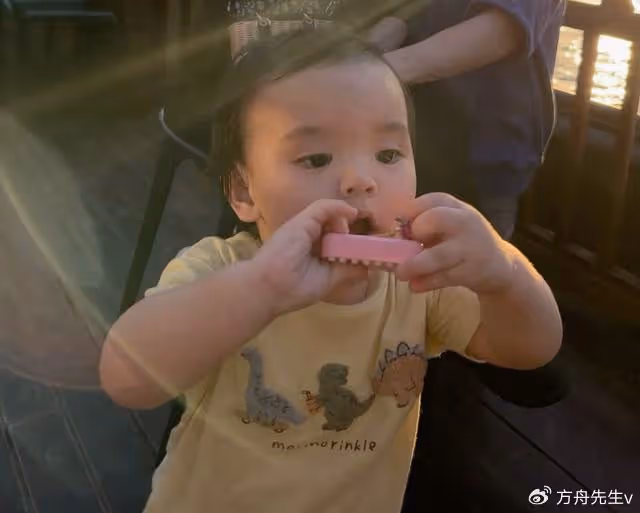 向佐曬與郭碧婷游西湖,首曝兒子高清正面照,弟弟似混血兒超像外公