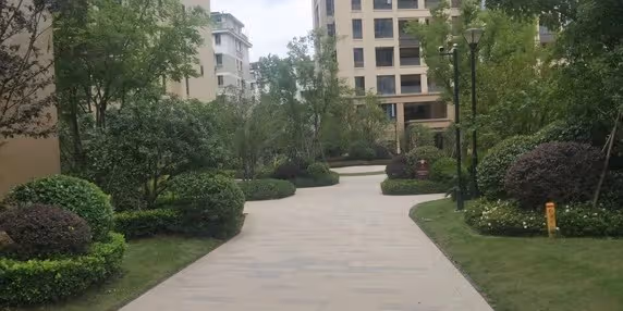 小舅子偷偷用我的房子結婚,妻子幫忙隱瞞,我憤怒把她們都趕走了