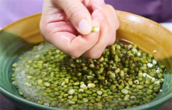煮綠豆沙不要只放水,教你一招,綠豆更容易起沙,香甜可口又解暑
