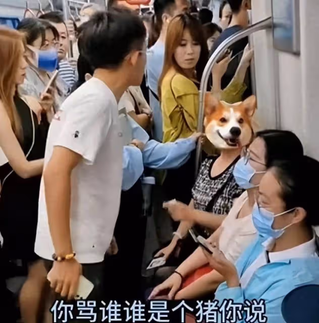 大媽罵懷孕女孩是豬後續,被認出大媽身份,女孩一句話她啞口無言