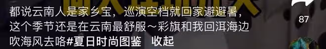 小彩旗陪楊麗萍回老家！跟一旁推大包行李，身材豐腴大變樣似男孩