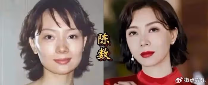 看了陳數18年前的「黃依依」舊照，就會原諒她如今的「矽膠臉」