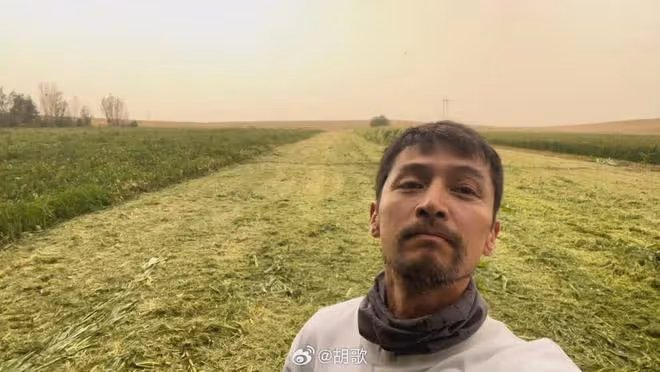 40歲胡歌官宣退圈5年,要去沙漠栽樹做公益,鬍子拉碴精緻不在