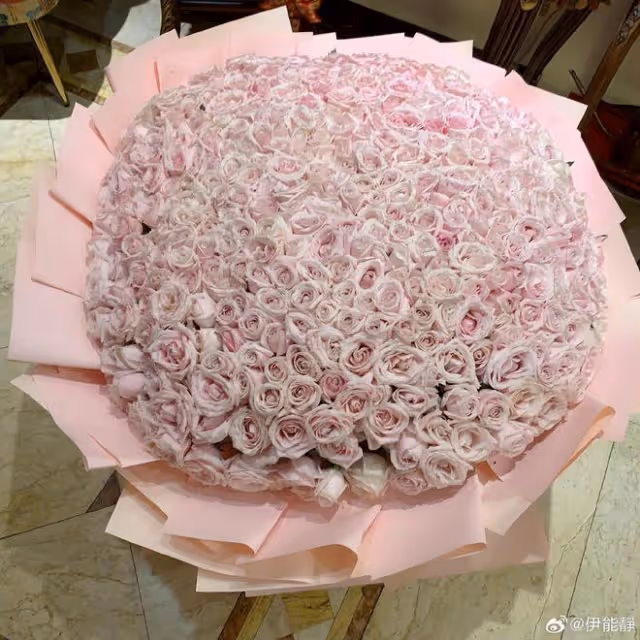 秦昊七夕送老婆巨型玫瑰,伊能靜不敢相信直呼「有問題」,太逗了