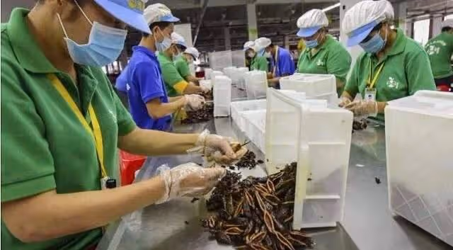 他是瞎子,賣檳榔成富豪,妻子沒生兒子,去世後家人爭10億財產