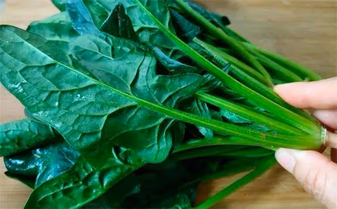 蔬菜中被稱為「長壽菜」的是什麼,你知道嗎?都有什麼好處?