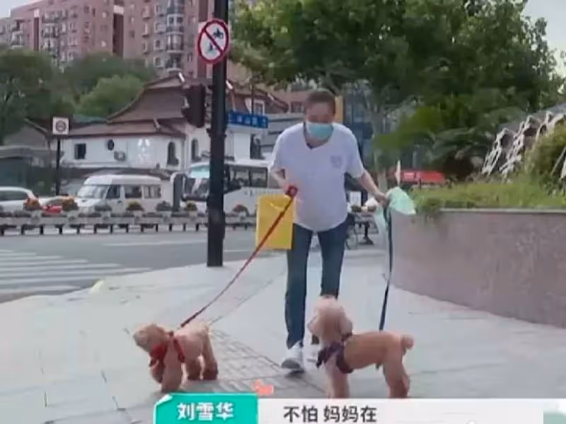 65歲劉雪華拍戲路透曝光!滿頭白發、滿臉皺紋,網友:好真實的臉
