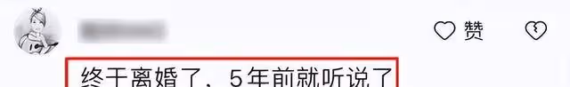 爆料!曝柳雲龍已離婚,婚內出軌合伙人,兩人甚至偷生下私生女兒