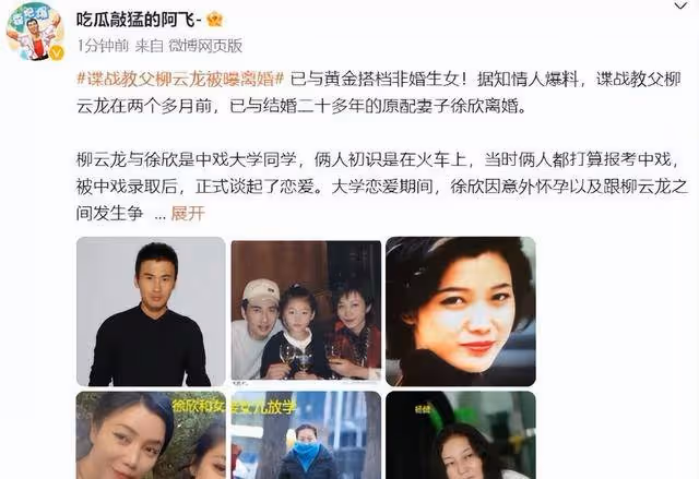 爆料!曝柳雲龍已離婚,婚內出軌合伙人,兩人甚至偷生下私生女兒
