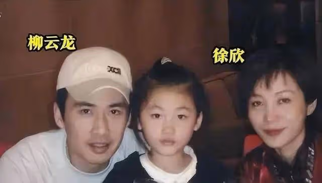 爆料!曝柳雲龍已離婚,婚內出軌合伙人,兩人甚至偷生下私生女兒