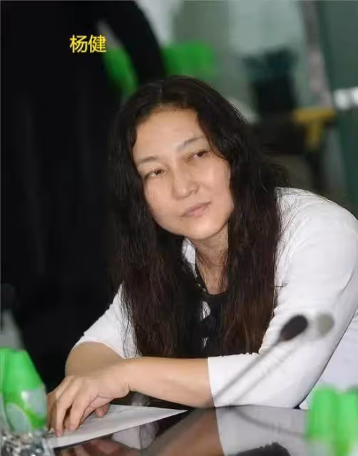 爆料!曝柳雲龍已離婚,婚內出軌合伙人,兩人甚至偷生下私生女兒