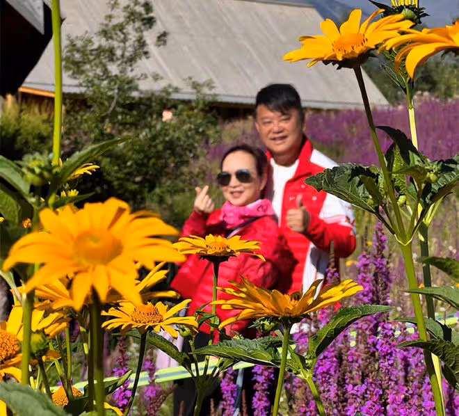 陳百祥新疆慶結婚44周年!花海依偎妻子好浪漫,譚詠麟見證幸福