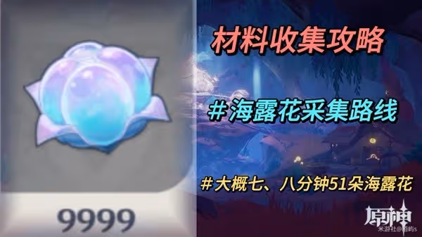 《原神》4.0楓丹特產海露花採集路線分享