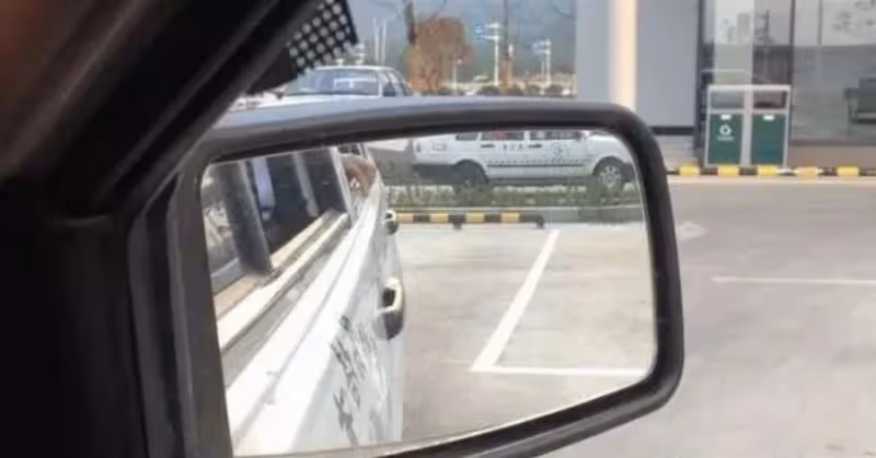 陳曉又一新劇首播將至，四位美女藝人助陣，這收視穩穩的了