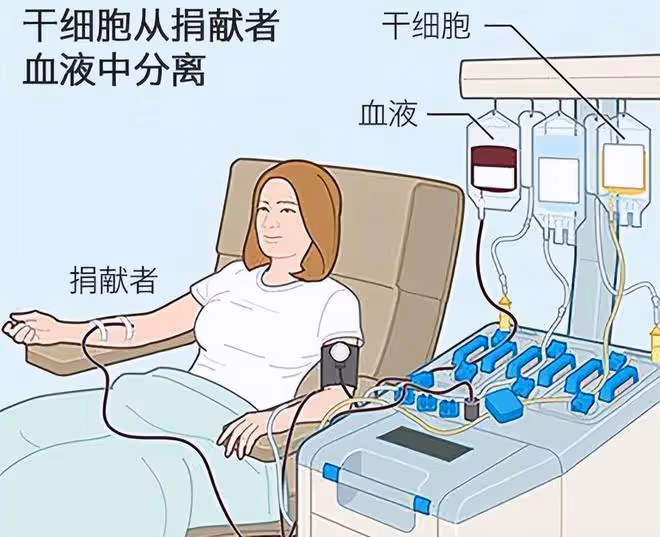 2011年，雲南女學生捐骨髓救人，患者康復後卻大罵：她不是個東西