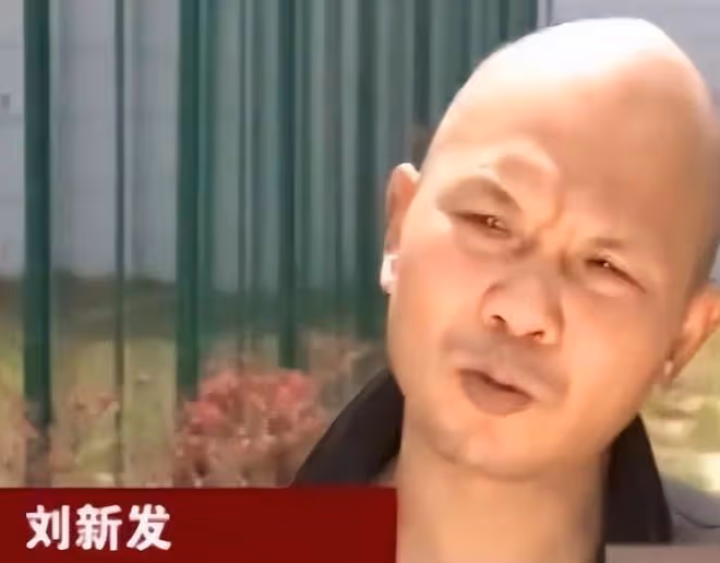 2013年,7名美艷少婦自願與禿頭大爺發生關係,警方調查:不簡單