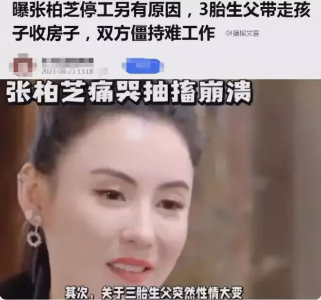 曝張柏芝被孫東海拋棄?孩子被抱走房產也被奪,網友直言自找的