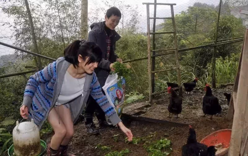 阿西砸百萬買下800坪山坡地，山上居住15年曝「是觀音牽線」自己種有機蔬果，養雞鴨：我絕不會殺生
