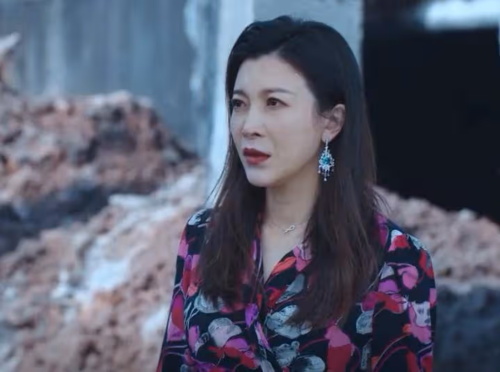 她的城:謝長江入獄十年,艾英恢復清白,帶孩子出國生活