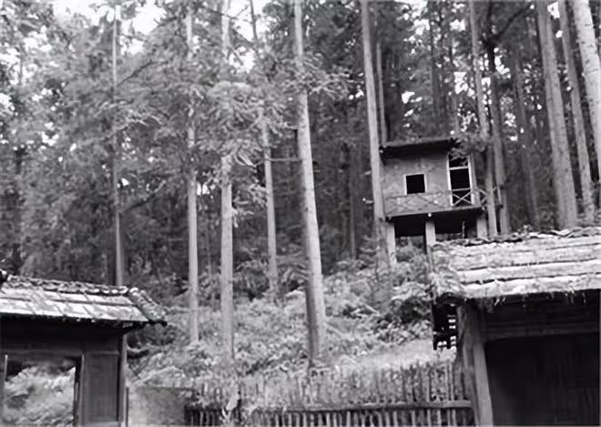 10年姦殺78名女子，下體卻被女壯漢砍斷，喪家犬一樣落荒而逃