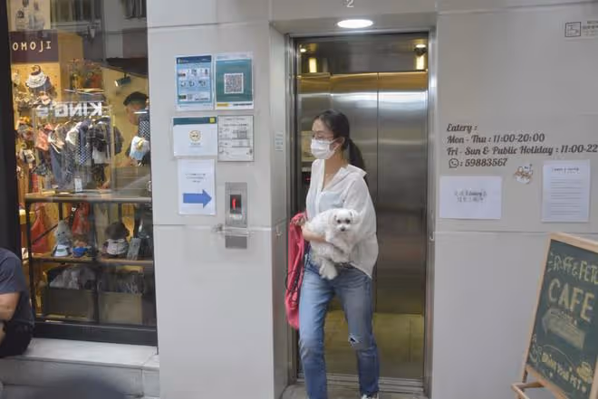 黃心穎泥鯭傳婚期,兩人為婚房做準備,二姐黃心妙送祝福