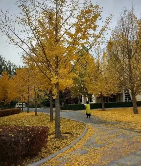 傾其所有為兒子兒媳全款買房買車,卻換不來一個滿意:我做錯了嗎