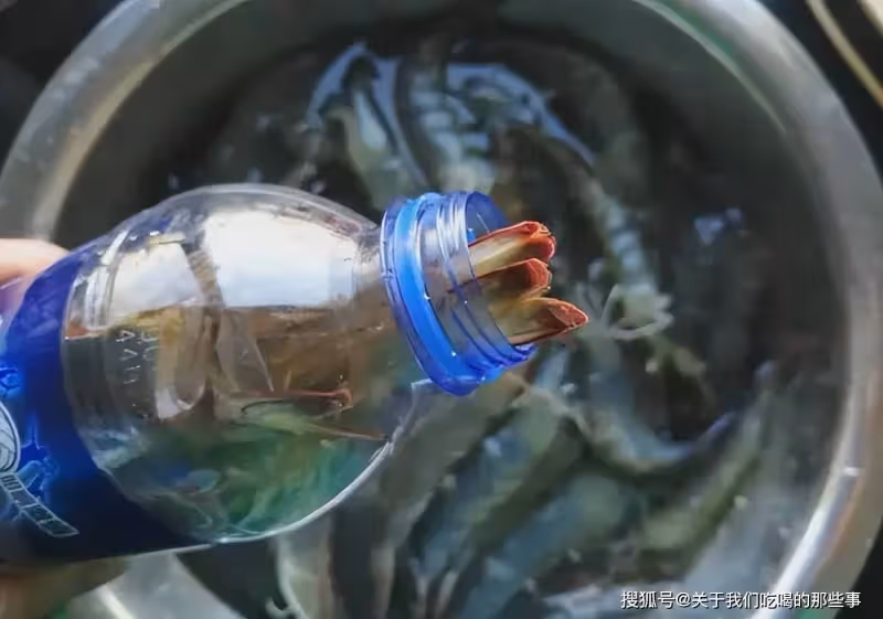 保存大蝦,最忌直接放冰箱,教你一妙招,放一年也鮮嫩,太實用了