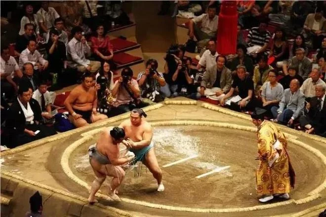 日本300斤相撲手，被80斤嬌妻家暴，妻子出軌還想搶5億家產