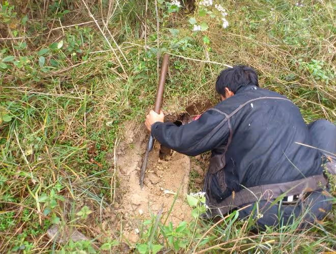 86年:他打死73條毒蛇,5年後被蛇圍攻致死,死後墳頭群蛇盤踞
