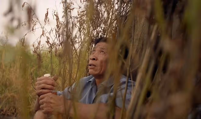 86年:他打死73條毒蛇,5年後被蛇圍攻致死,死後墳頭群蛇盤踞
