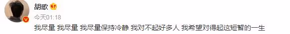 胡歌車禍發生17年後,深夜曬胡茬照表示自責,網友擔心心理問題