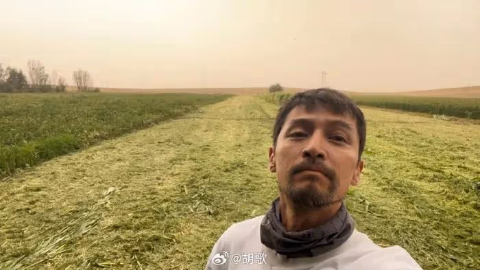 胡歌車禍發生17年後,深夜曬胡茬照表示自責,網友擔心心理問題