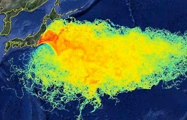 最新消息,日本水產大臣在記者會上失言,引起全球廣泛關注和恐慌