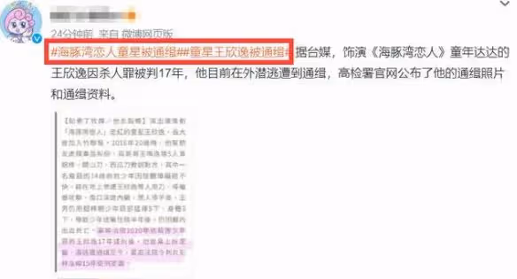 童星王欣逸因殺人被判17年,今潛逃被通緝,因《海豚灣戀人》大火