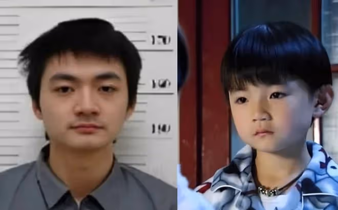 童星王欣逸因殺人被判17年,今潛逃被通緝,因《海豚灣戀人》大火