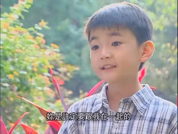台灣第一童星被通緝!混黑道打人致死,被判17年逃逸至今