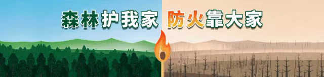 市四套班子領導參加「軍事日」活動