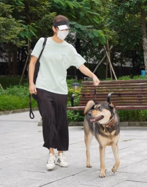 黃心穎已登記結婚,戴超大鑽戒秀恩愛,泥鯭化身保鏢全程護妻
